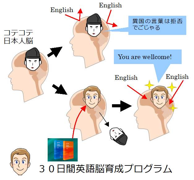 高麗美人の副作用